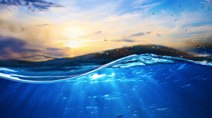 Colonic Hydrotherapy in Hampstead, North London