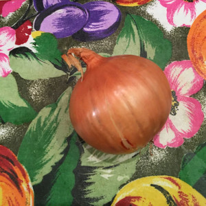 organic onion ingredient