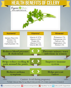 celery soup digestive health — Marijke Vogel's winter recipe