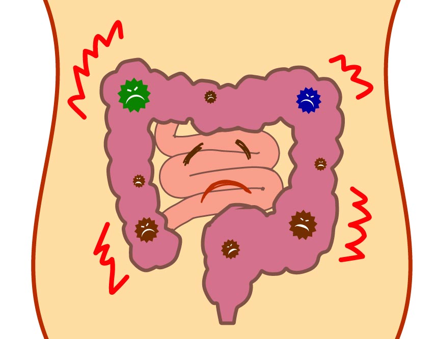 gut brain connection colonic — large intestine diagram by Marijke Vogel