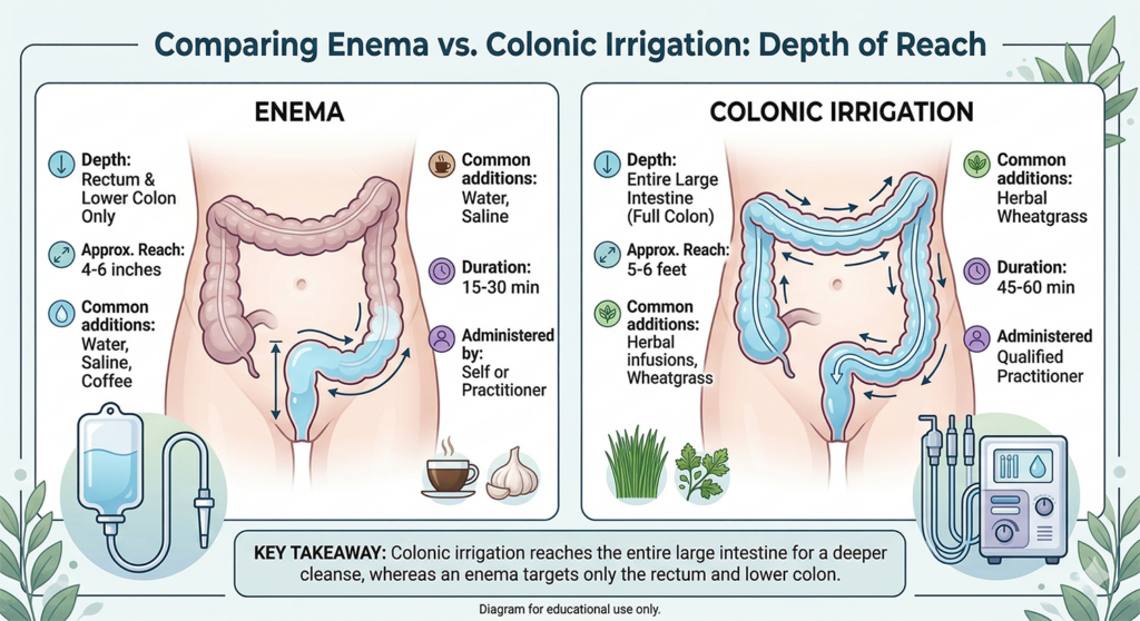 Colonic Irrigation vs Enemas digestive health comparison diagram